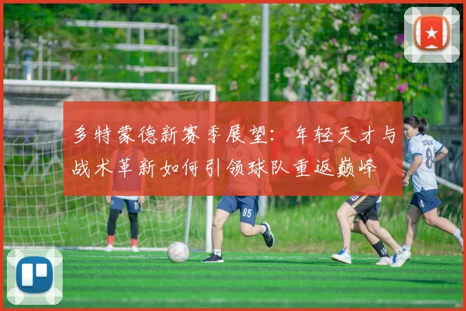 多特蒙德新赛季展望：年轻天才与战术革新如何引领球队重返巅峰