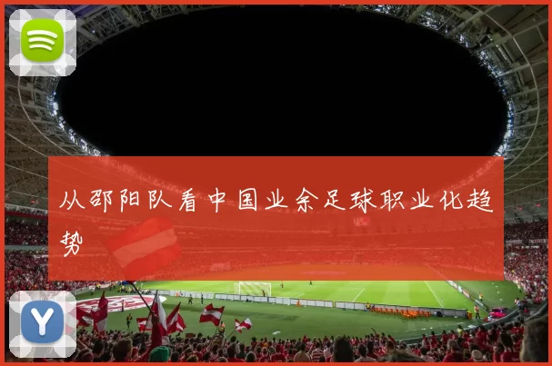 从邵阳队看中国业余足球职业化趋势