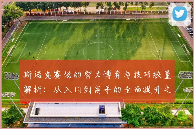 斯诺克赛场的智力博弈与技巧较量解析：从入门到高手的全面提升之路