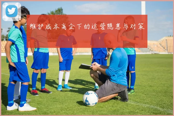 维护成本高企下的运营隐患与对策
