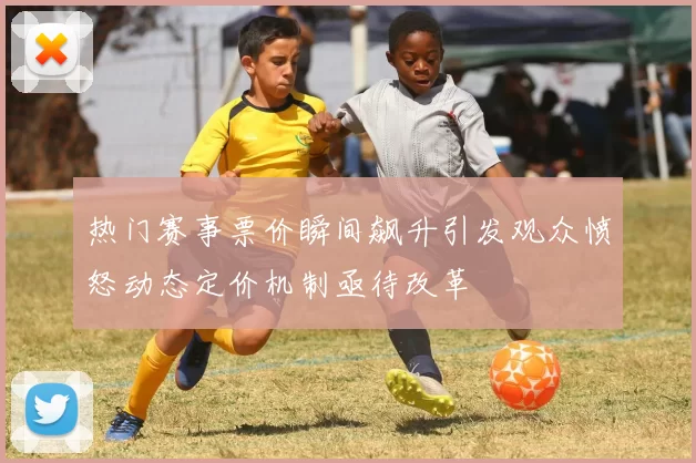 热门赛事票价瞬间飙升引发观众愤怒动态定价机制亟待改革